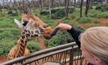 How to Plan & Book Kenya Safari from Abroad (USA, UK, Europe, & Australia Guide)