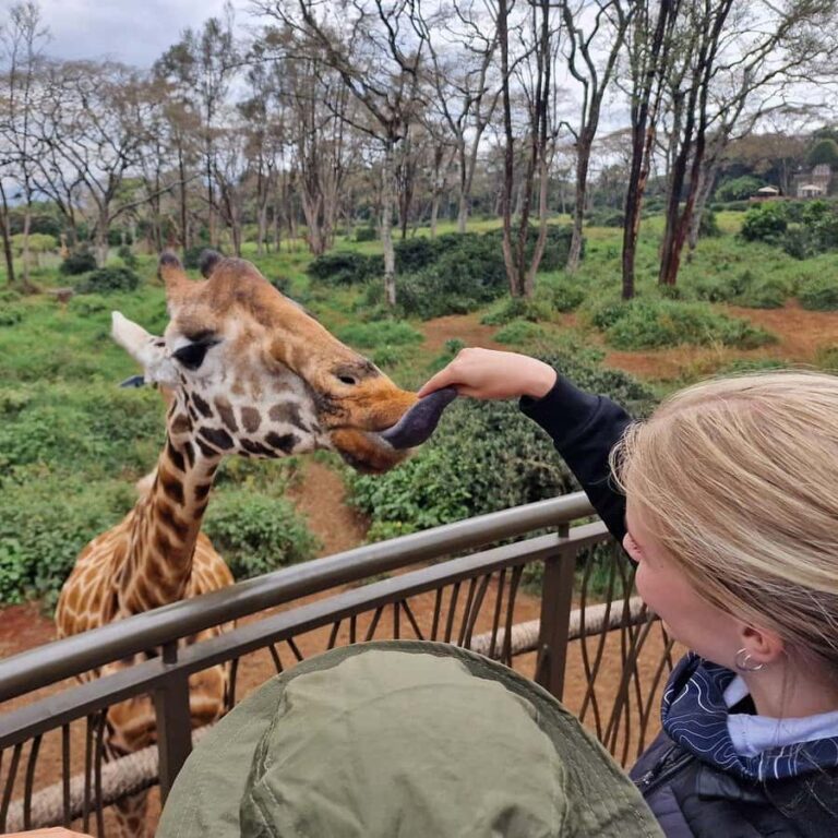 How to Plan & Book Kenya Safari from Abroad (USA, UK, Europe, & Australia Guide)