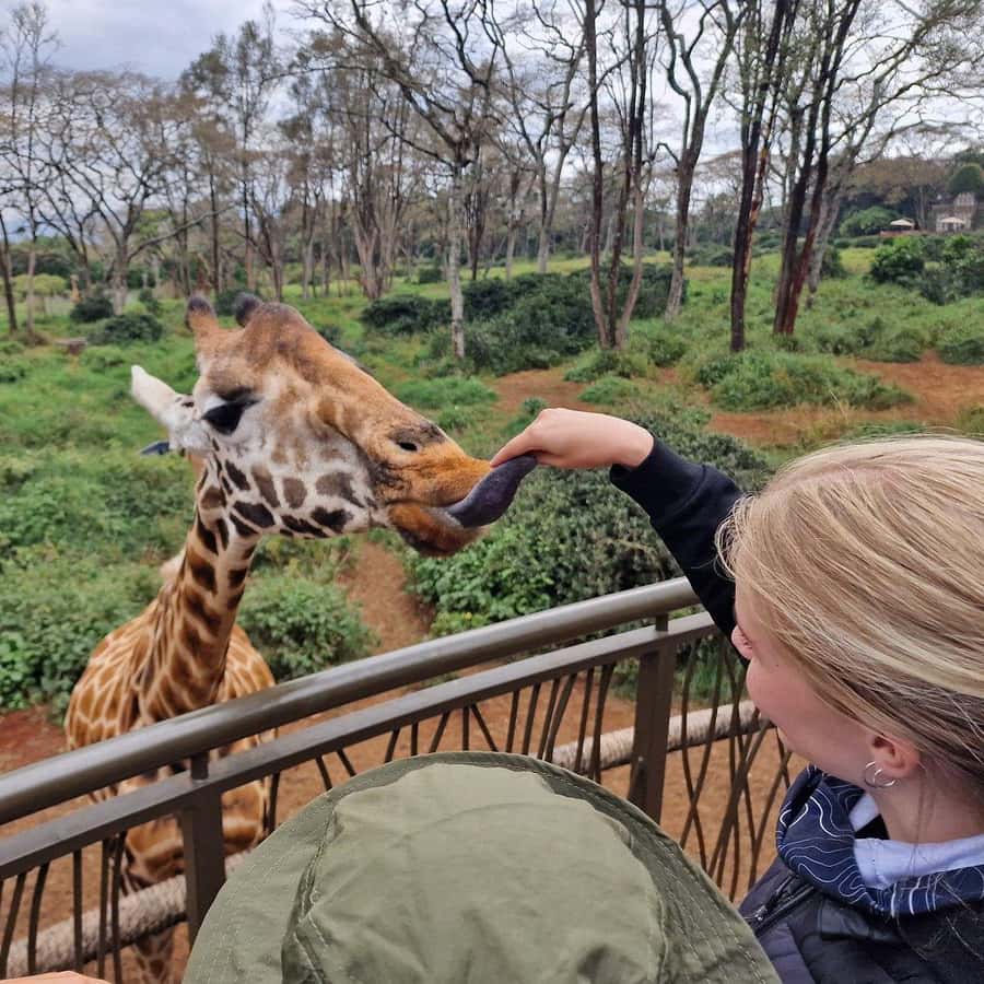 How to Plan & Book Kenya Safari from Abroad (USA, UK, Europe, & Australia Guide)