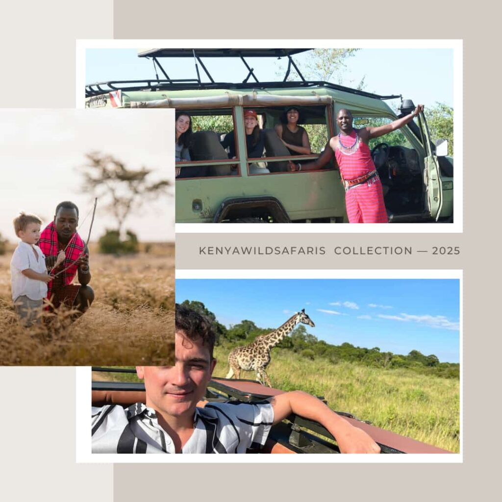 Kenyawildsafaris photo collection