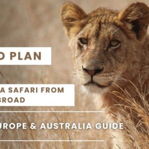 How to Plan & Book Kenya Safari from Abroad (USA, UK, Europe, & Australia Guide)