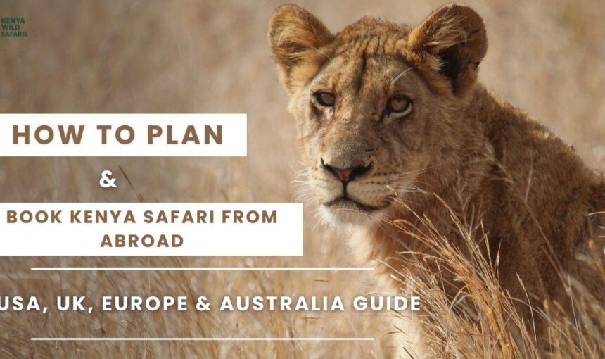Book Kenya Safari 2026: USA, UK & AU Guide to Costs & Planning