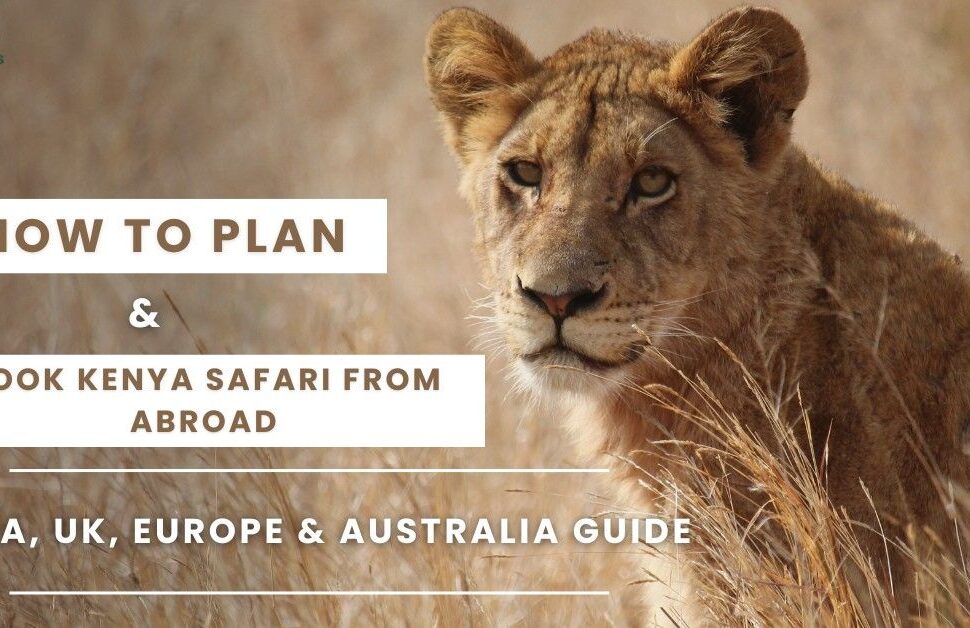 How to Plan & Book Kenya Safari from Abroad (USA, UK, Europe, & Australia Guide)