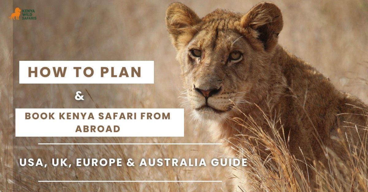 How to Plan & Book Kenya Safari from Abroad (USA, UK, Europe, & Australia Guide)