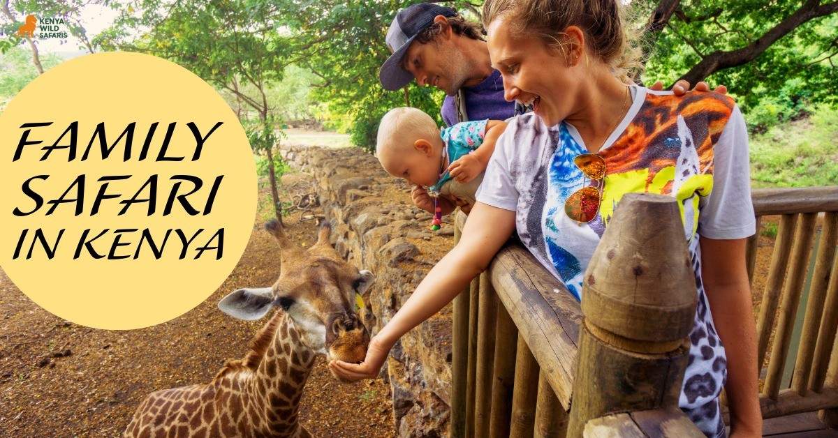 Family Safari Packages in Kenya