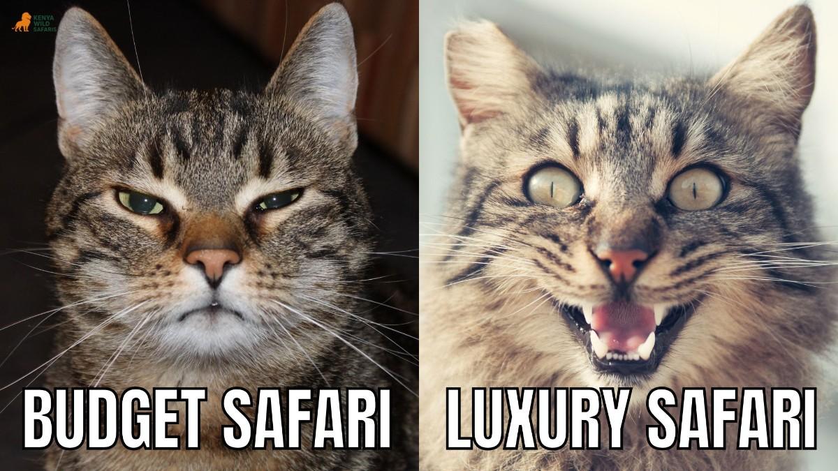 Luxury vs Budget Safari in Kenya