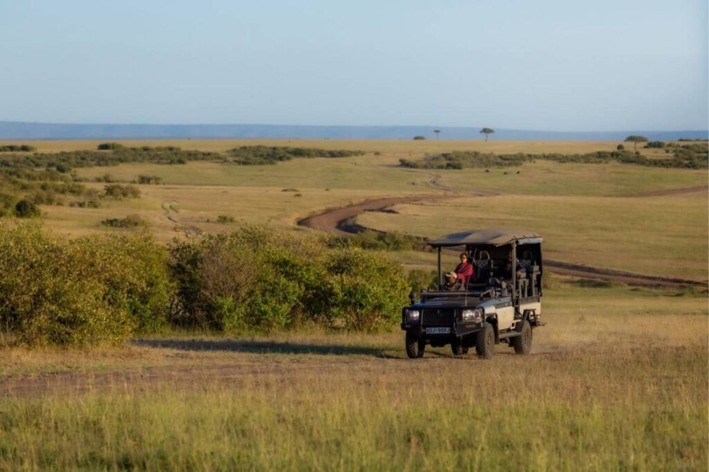 Private 4x4 Jeeps - Luxury vs Budget Safari in Kenya