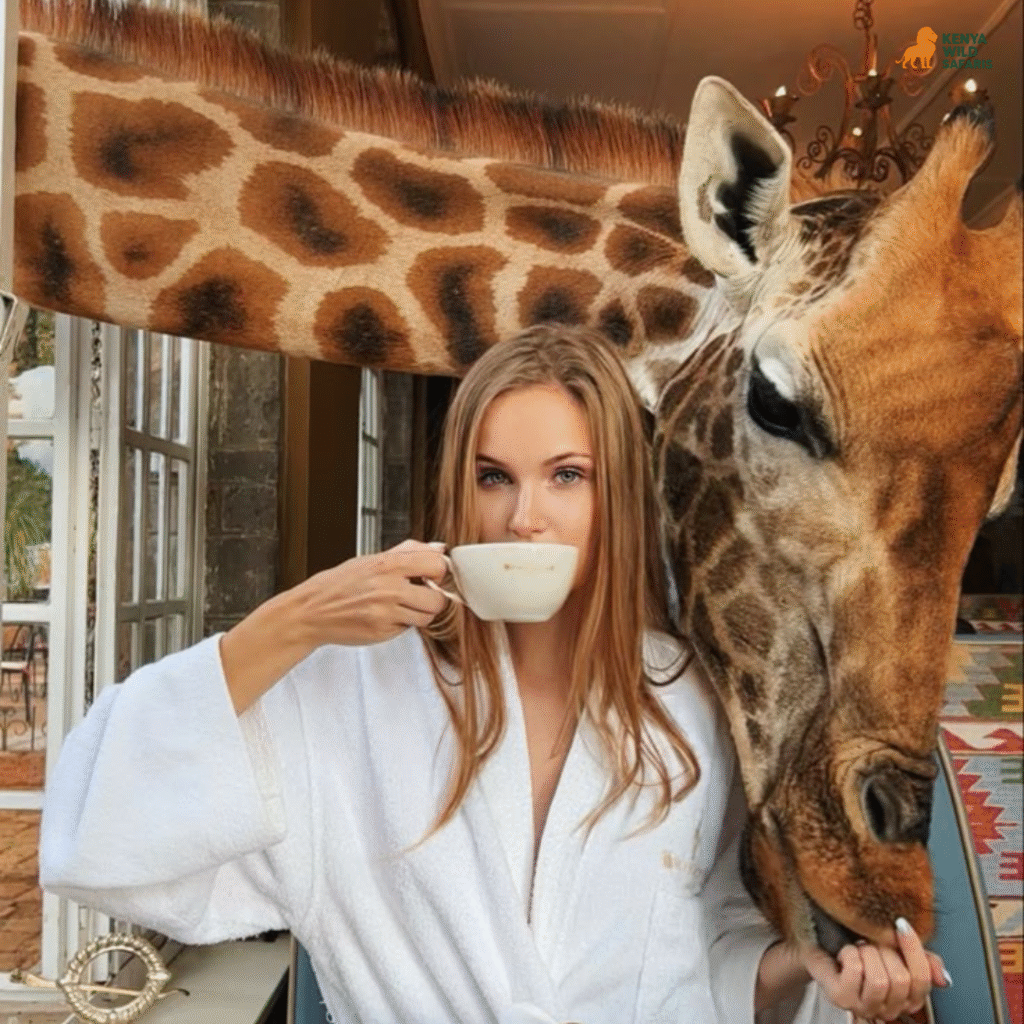 Why Travelers Love Booking Their Kenya Safari with Kenya Wild Safaris