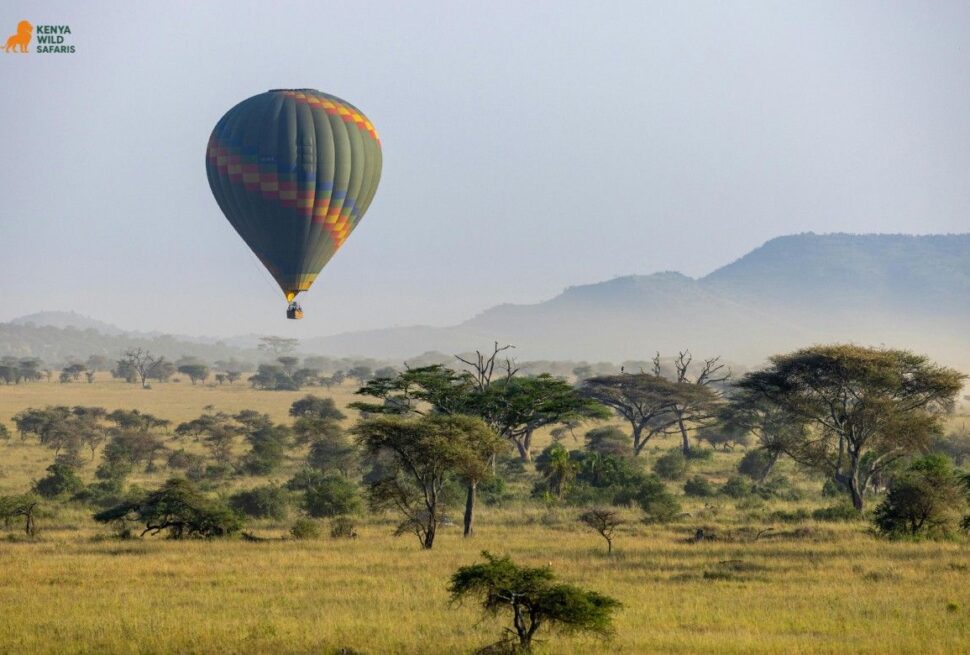 Hot Air Balloon Safari in the Maasai Mara