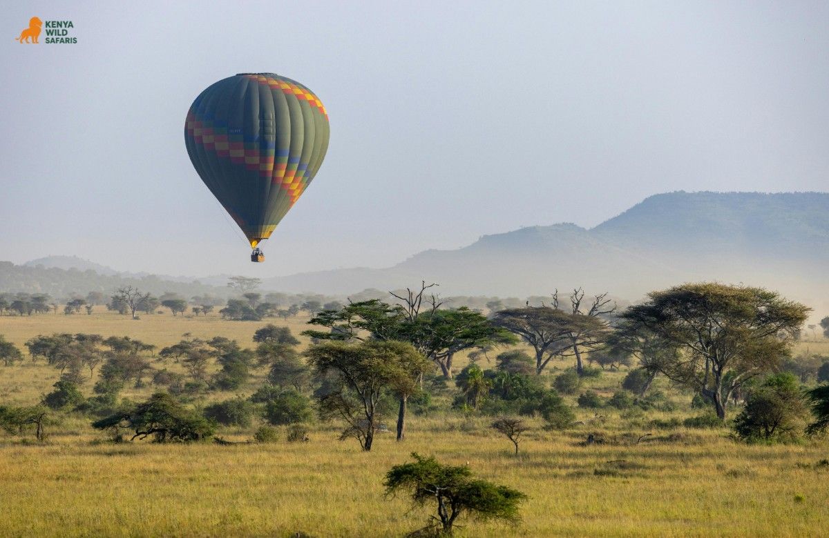 Hot Air Balloon Safari in the Maasai Mara
