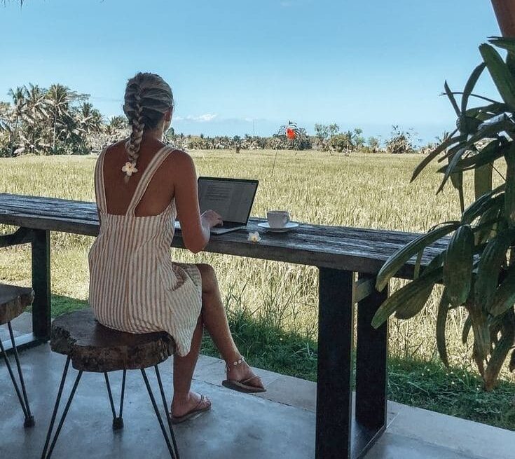 Why Every Safari Traveler Needs a VPN